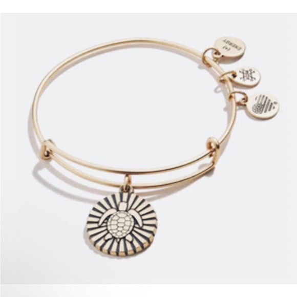 Turtle Charm Bangle – ALEX AND ANI Alex and Ani Gold Sunburst Sea Turtle Charm Bracelet